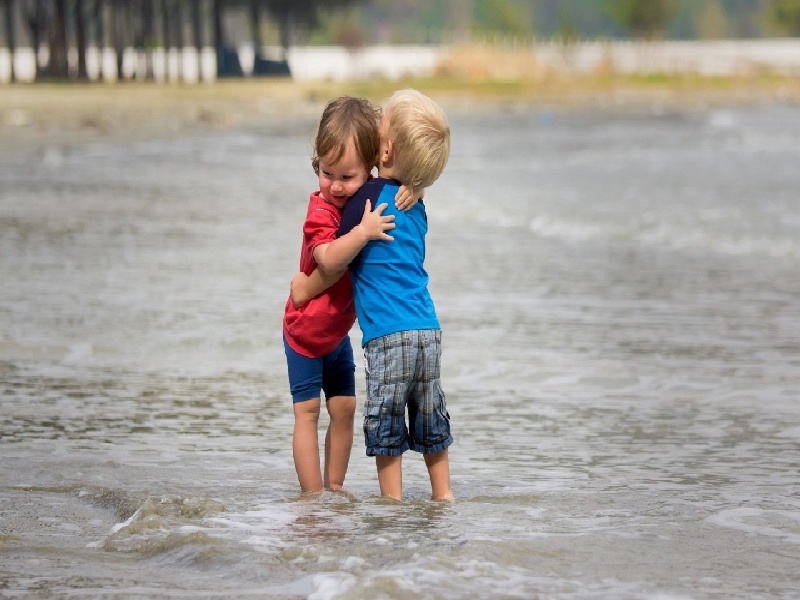 试管移植期间步骤,试管囊胚冷冻保存