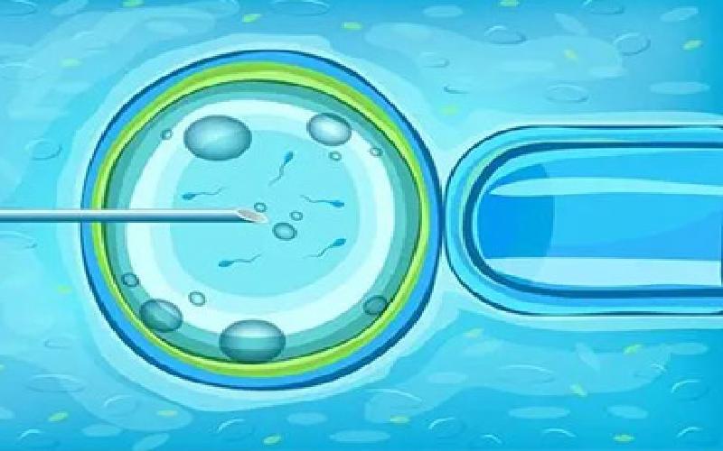 烤干试管实验过程代生